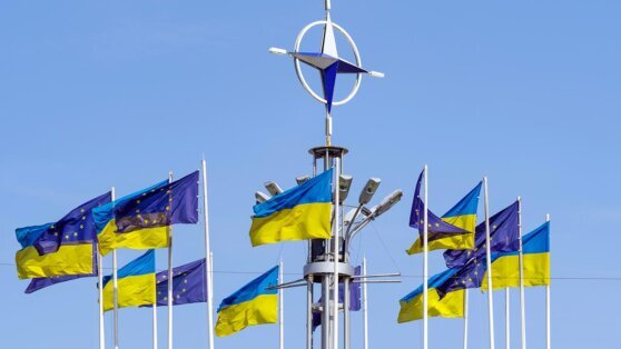    СМИ: надежды Украины на скорое присоединение к НАТО могут не оправдаться Анастасия Романова