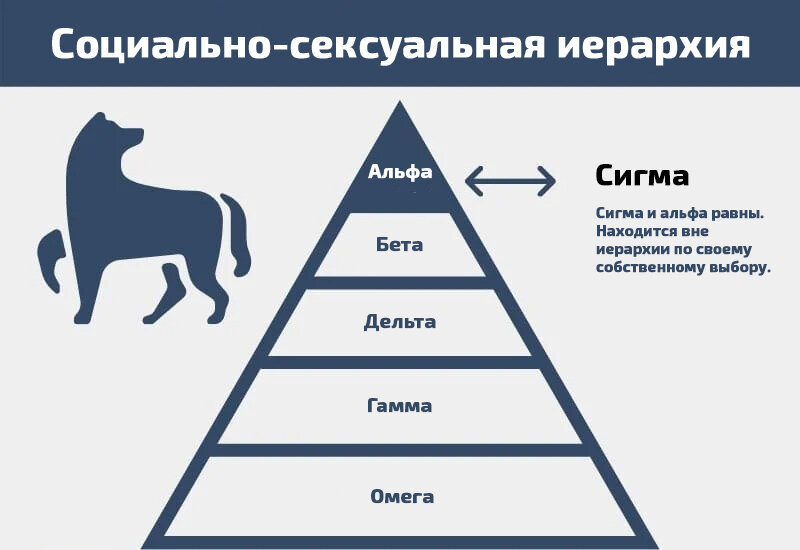 Чем социальные медиа похожи на cекс?