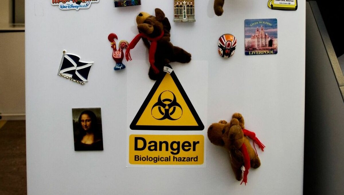     Вакцинация в Ростовской области продолжает набирать обороты. И если во время пандемии COVID-19 речь шла об обязательных прививках от коронавируса, то сегодня ростовчанам советуют прививаться и от других болезней, о которых прежде массово мало, кто слышал.