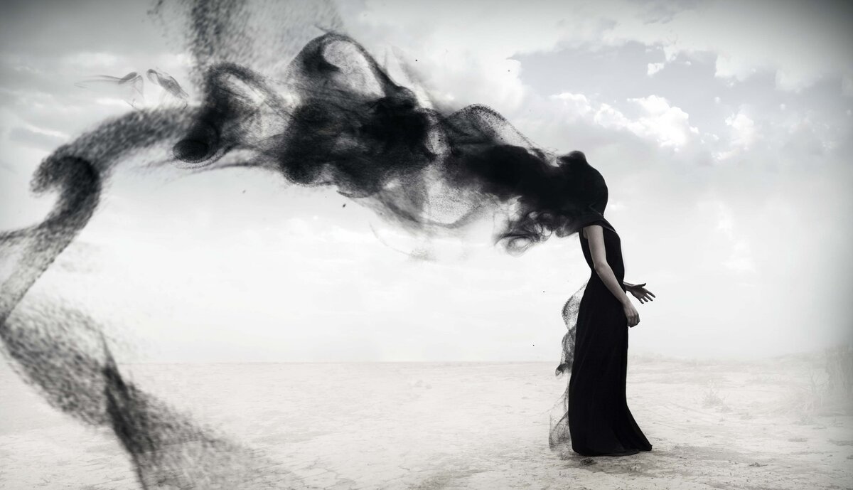 Фото Яндекс