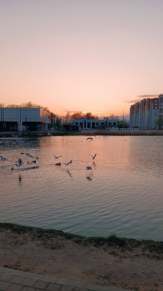 Фоточка с парка луговой в Новгороде 
