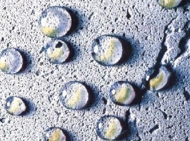 Газобетон не впитывает в себя воду так активно, как минеральная вата, и причины этому вполне объективные