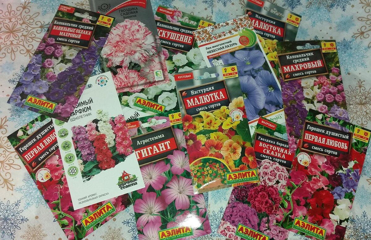 Из личного архива автора канала