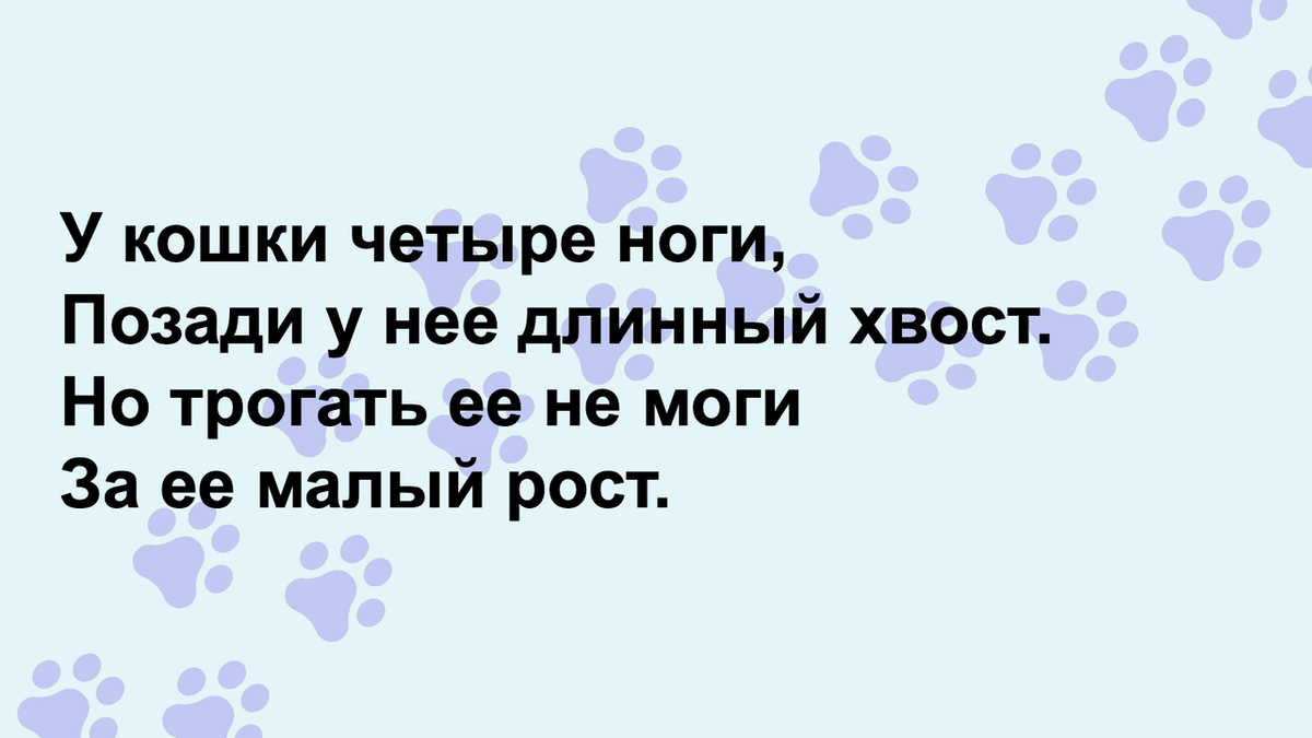 Угадайте песни о кошках, которые были популярны в СССР | Питомцы Mail.ru |  Дзен