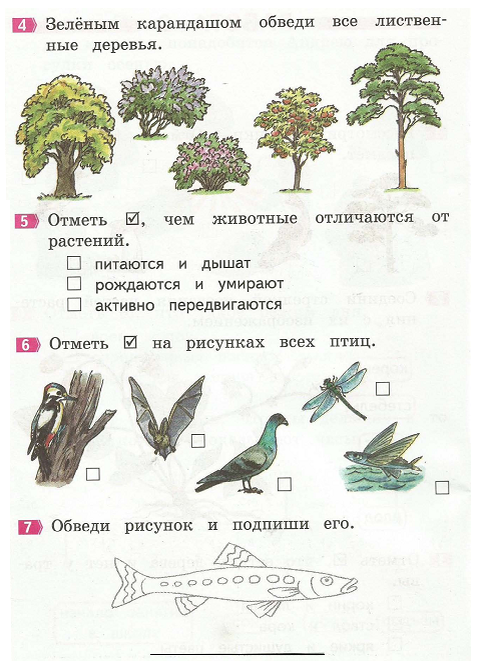 Окружающий мир 2 класс годовая работа