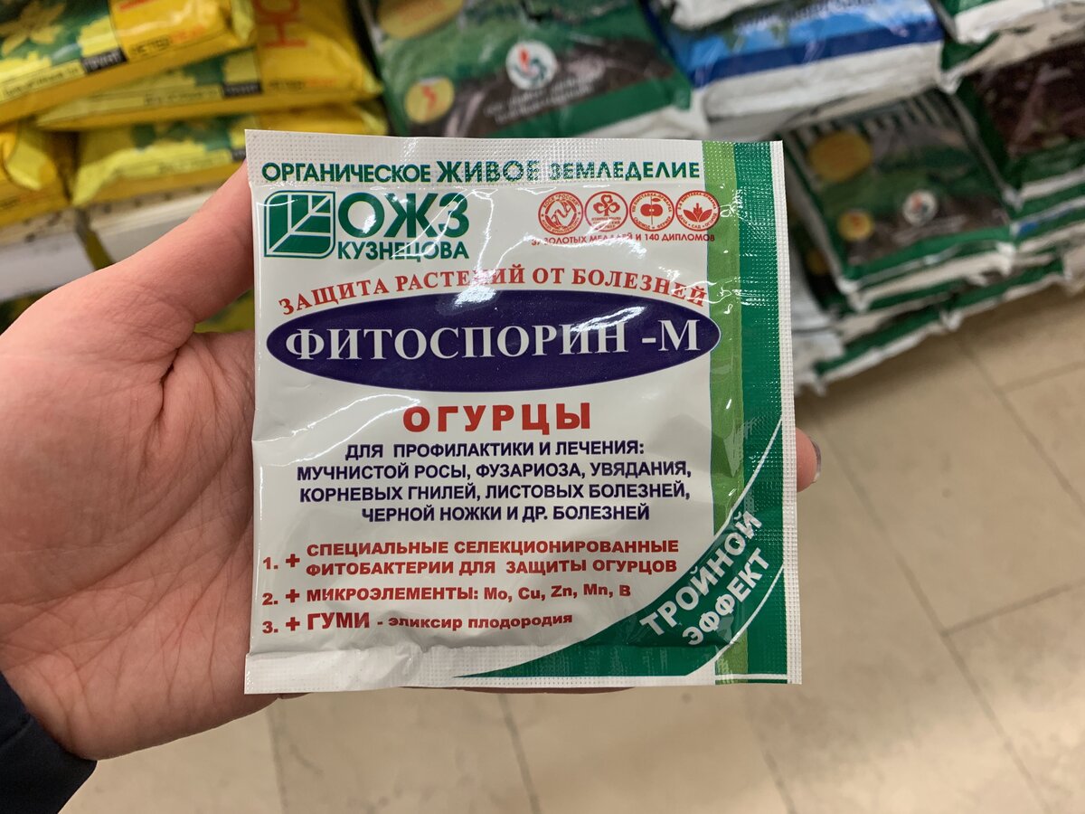 Обработка томатов фитоспорином в открытом. Фитоспорин огурцы. Фитоспорин для огурцов. Фитоспорин для огурцов в теплице. Препарат Фитоспорин.