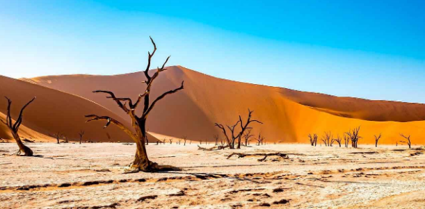 Образ - пустыня