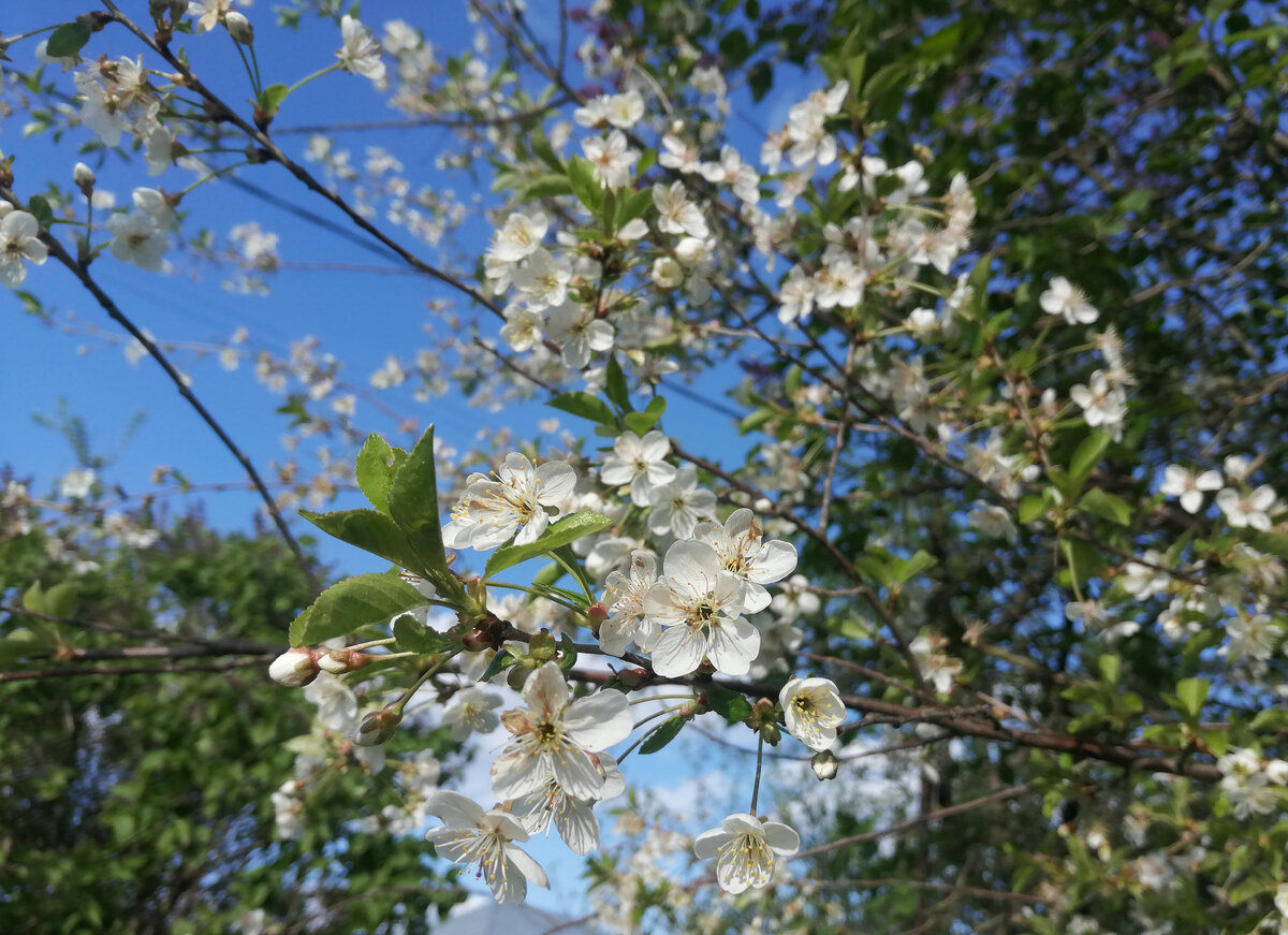 И не скажешь, что на улице было всего +9