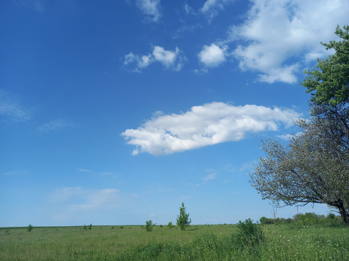 Небо было очень красивым 😍