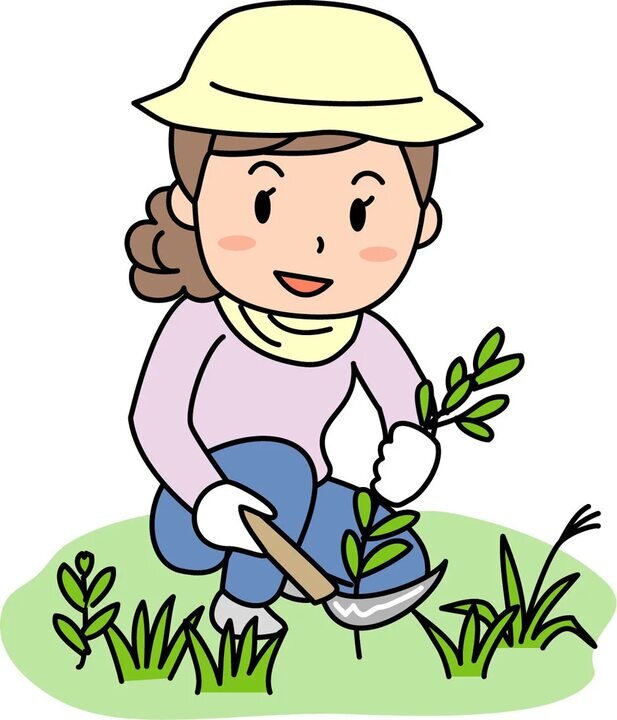 Картинка из инета 