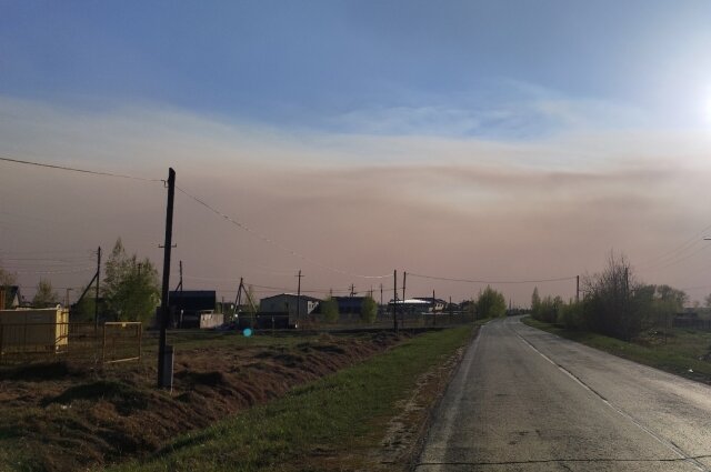    Фото:  АиФ/ Сирень Бабаева