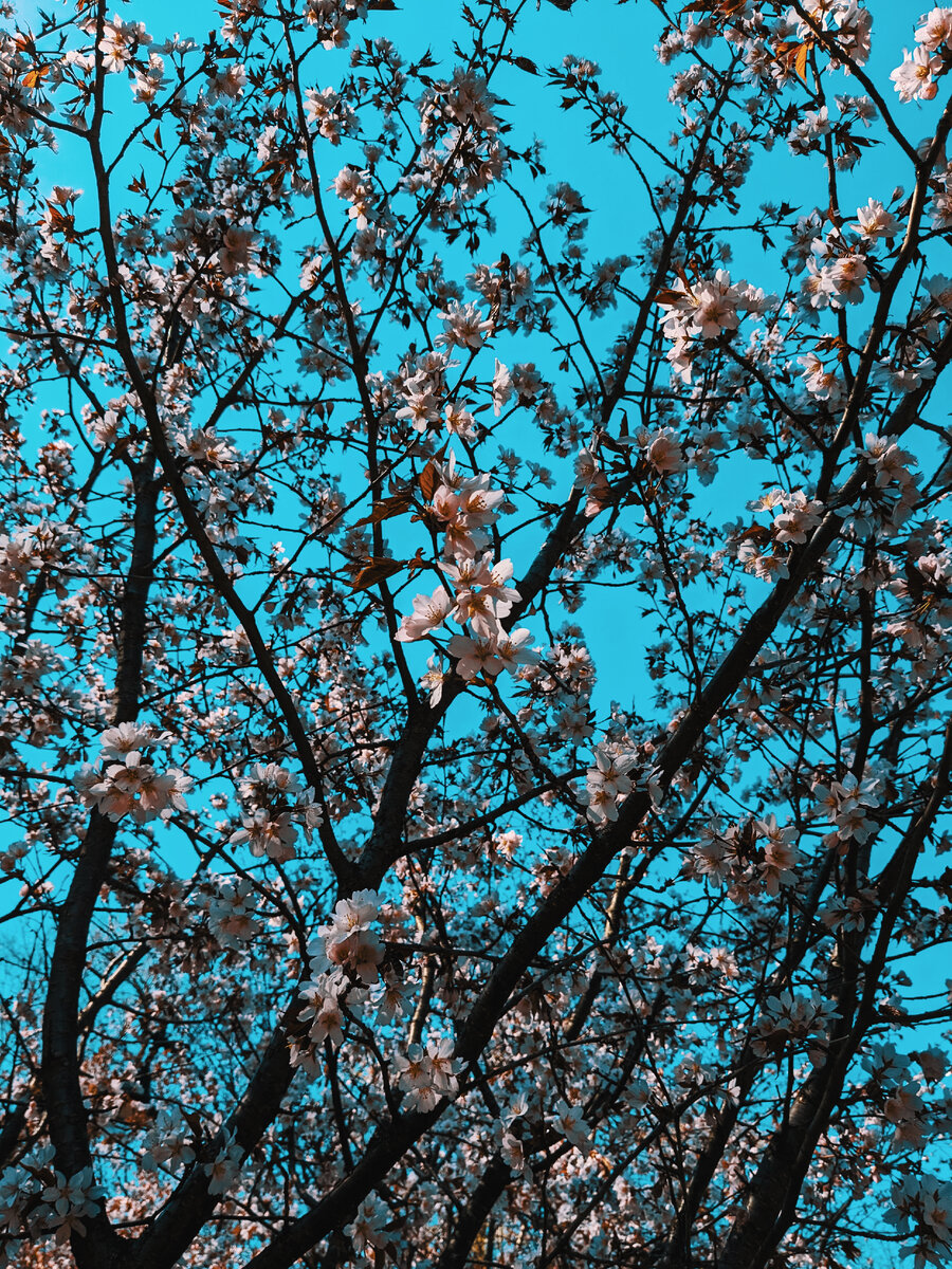 В любой непонятной ситуации трогайте траву