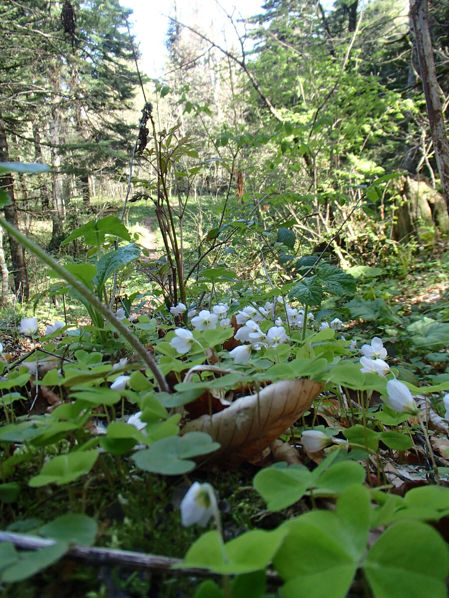 красивость))