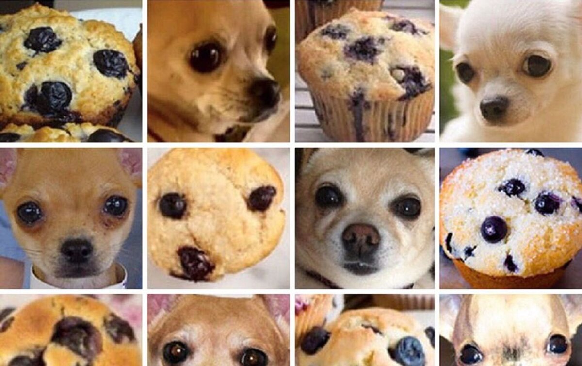 Источник www.storyblocks.com