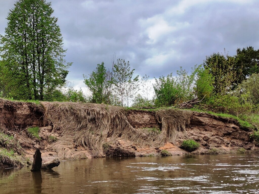 46 км соловьев и черемухи – водный поход по Киржачу