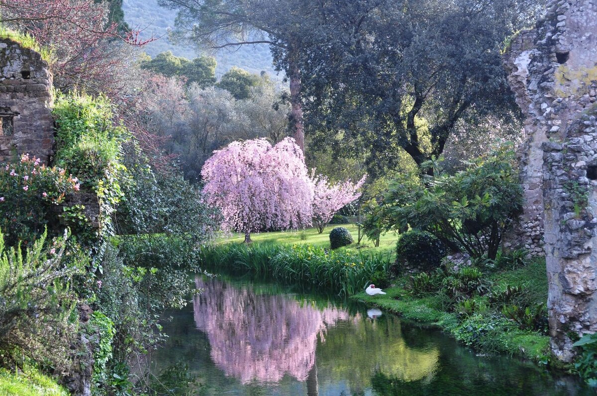 https://blogitalia.ru/la-giardino-ninfa