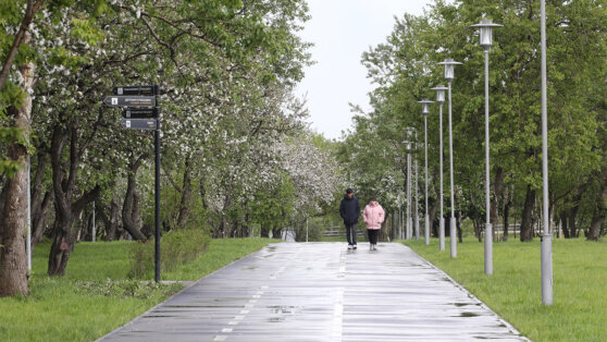    В конце недели в Москве ожидаются кратковременные дожди Дарья Смирнова