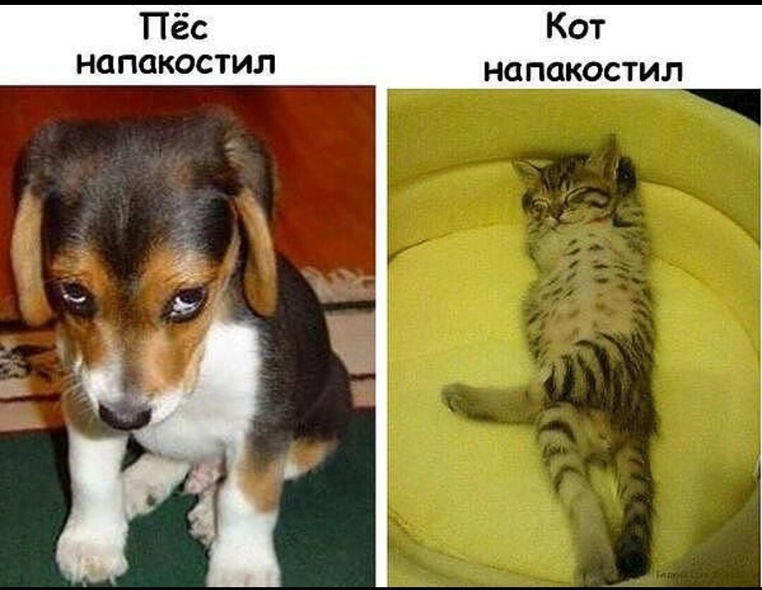 Скриншот автора