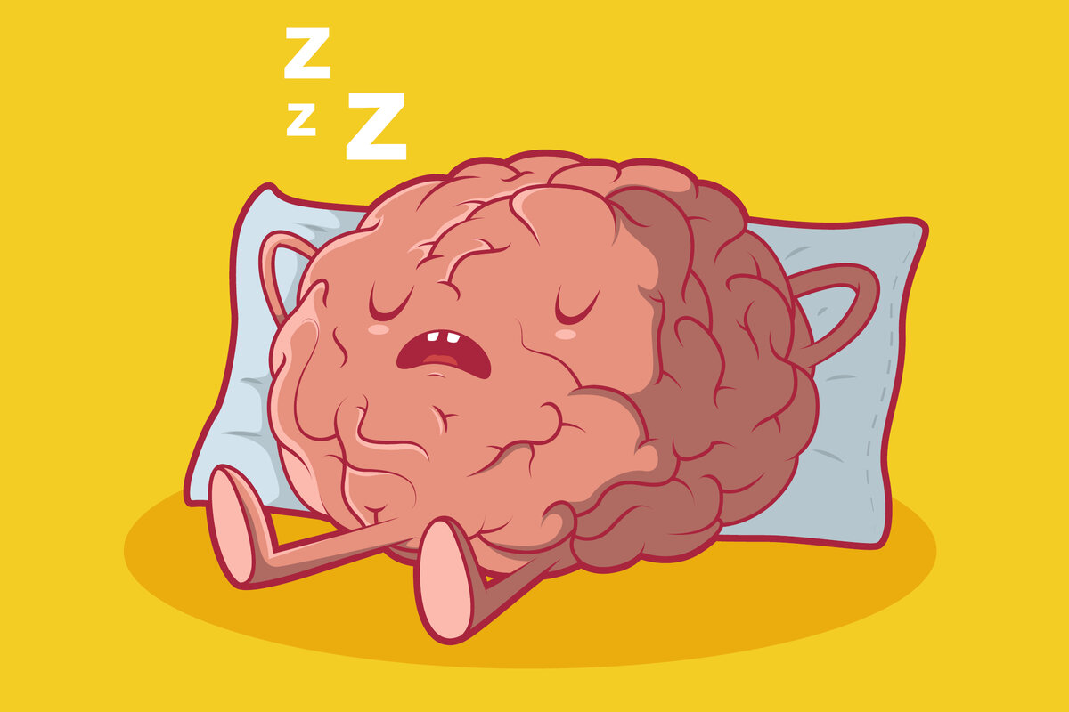 Ленивый мозг. Мозг ленится. Мозг отдыхает. Уставший мозг.