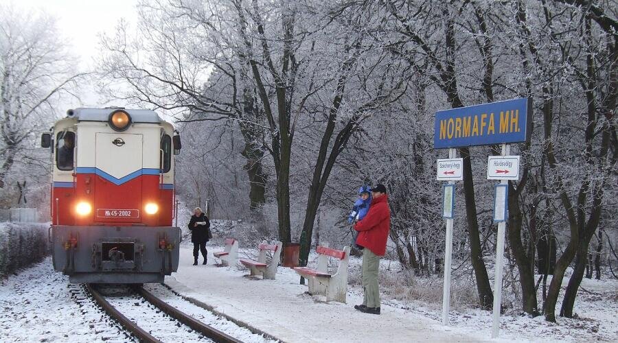   Детская железная дорога в Будапеште зимой Фото: Normafa Vonat érkezik, общественное достояние