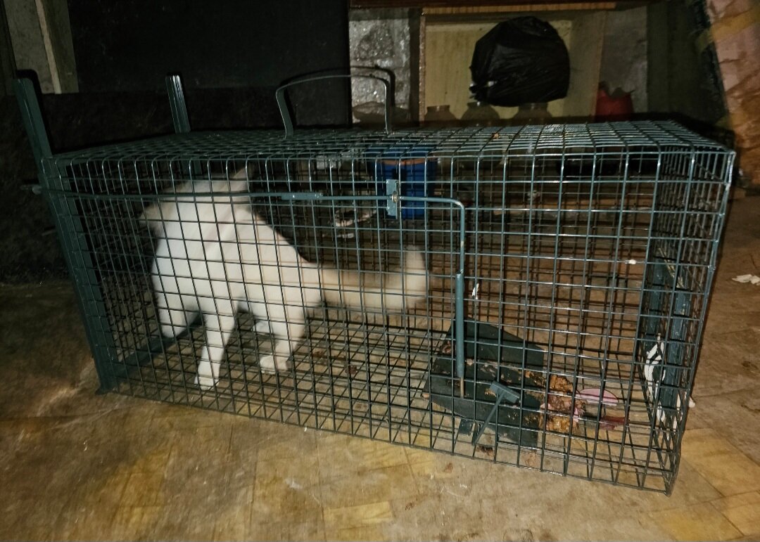 Фото автора. Наконец-то мы ее поймали.