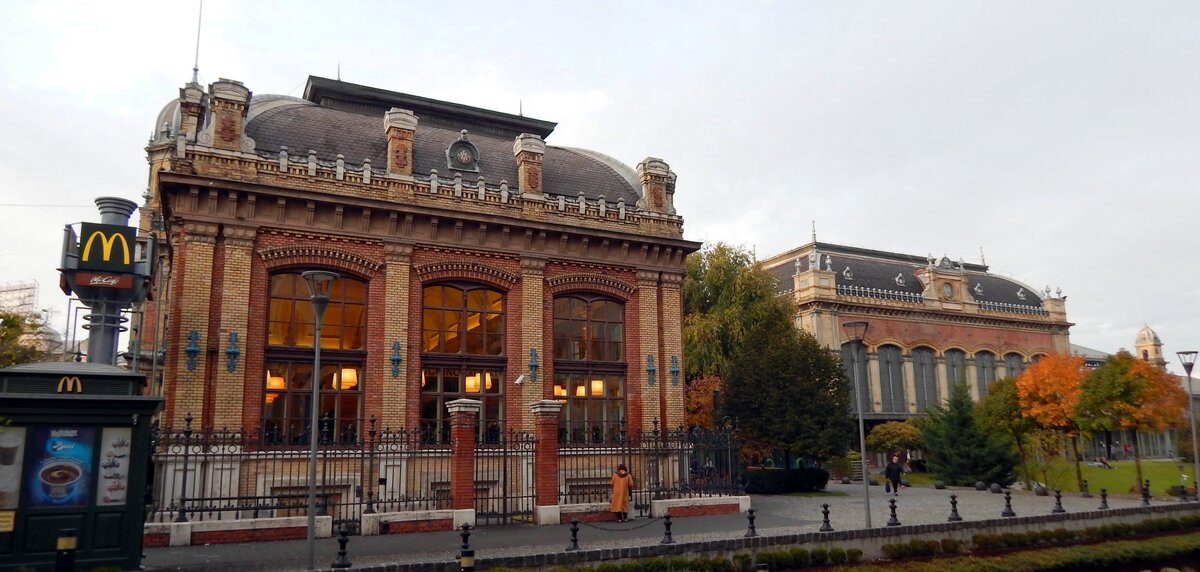 Фото автора, то есть моё