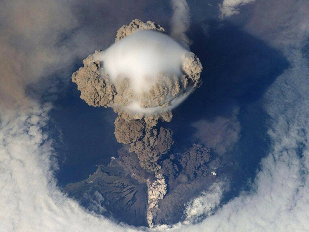 Фото - pixabay.com