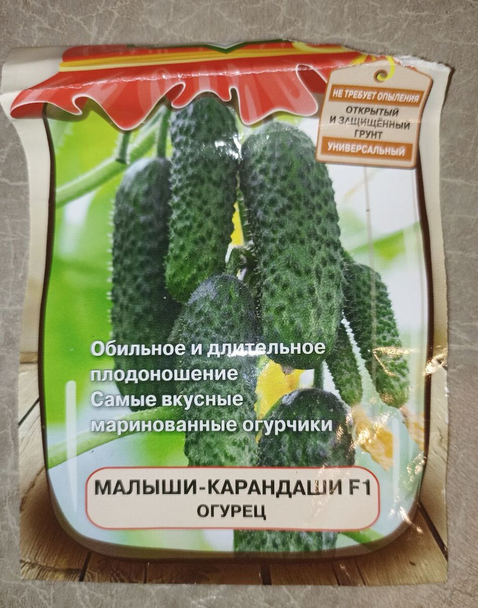 Огурцы, которые я сажала