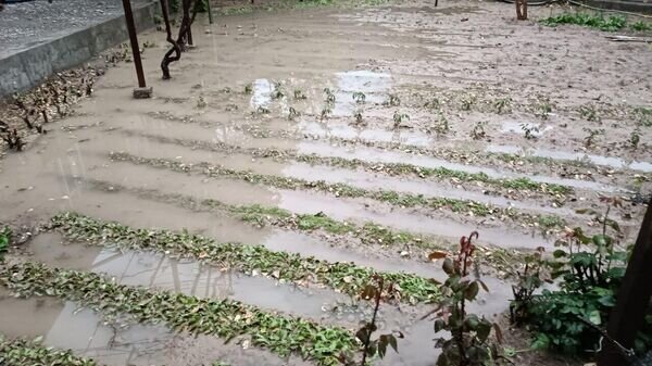    © Фото очевидца