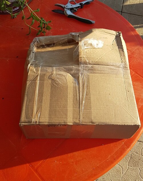 Фото автора