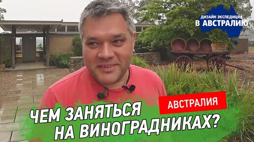 Виноградники Австралии. Природа, современное искусство и гастрономический ресторан