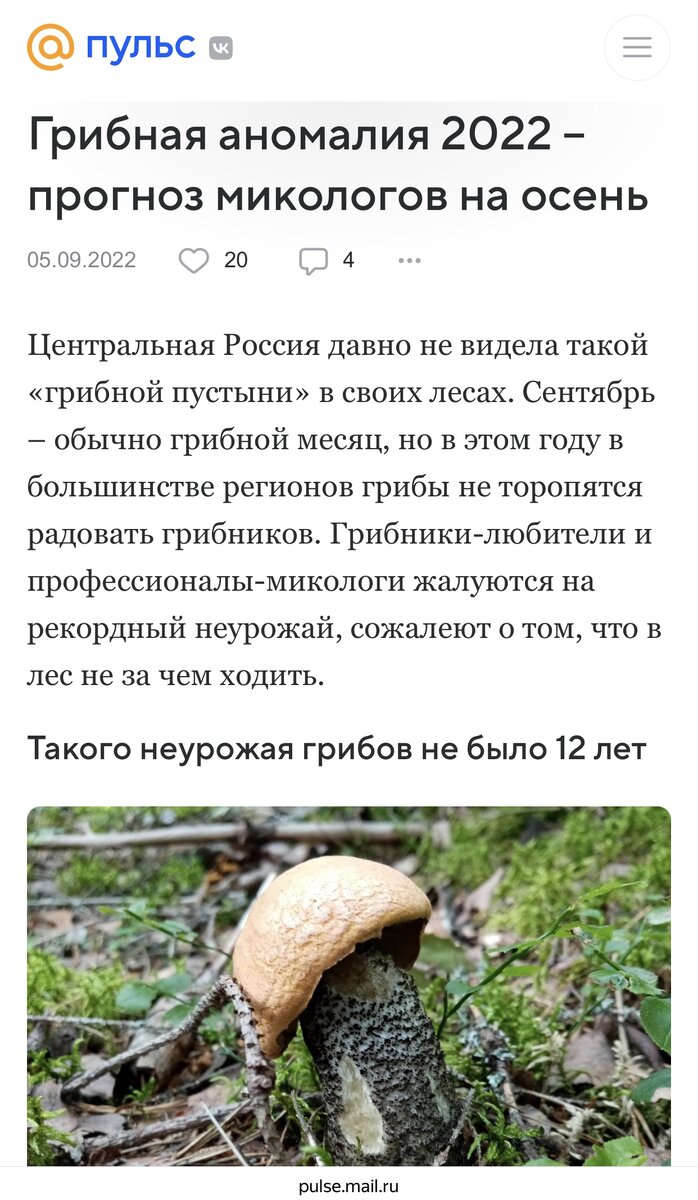 Начало статьи в Тульской прессе, по названию можно посмотреть в интернете 