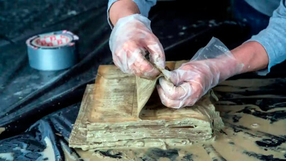    В Италии спасают в морозильниках старинные книги, пострадавшие от наводнения Ирина Петрова