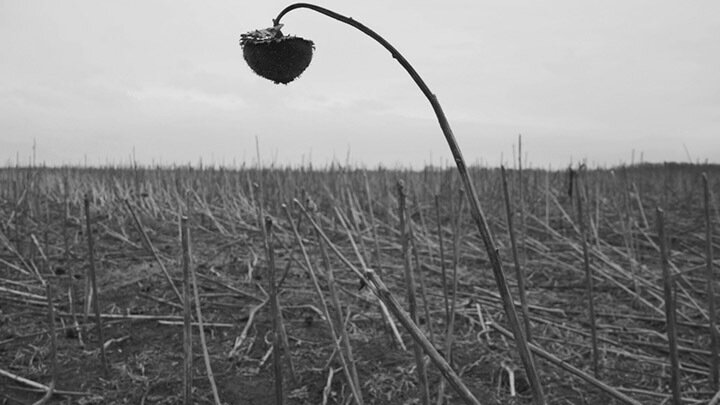 ФОТО: RUDENKOIS/SHUTTERSTOCK.COM