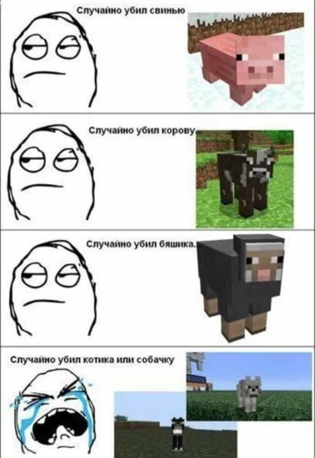 1. Жалко их всех:(