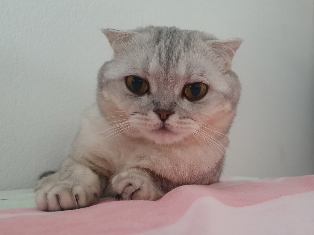 фото: Перминова Алина