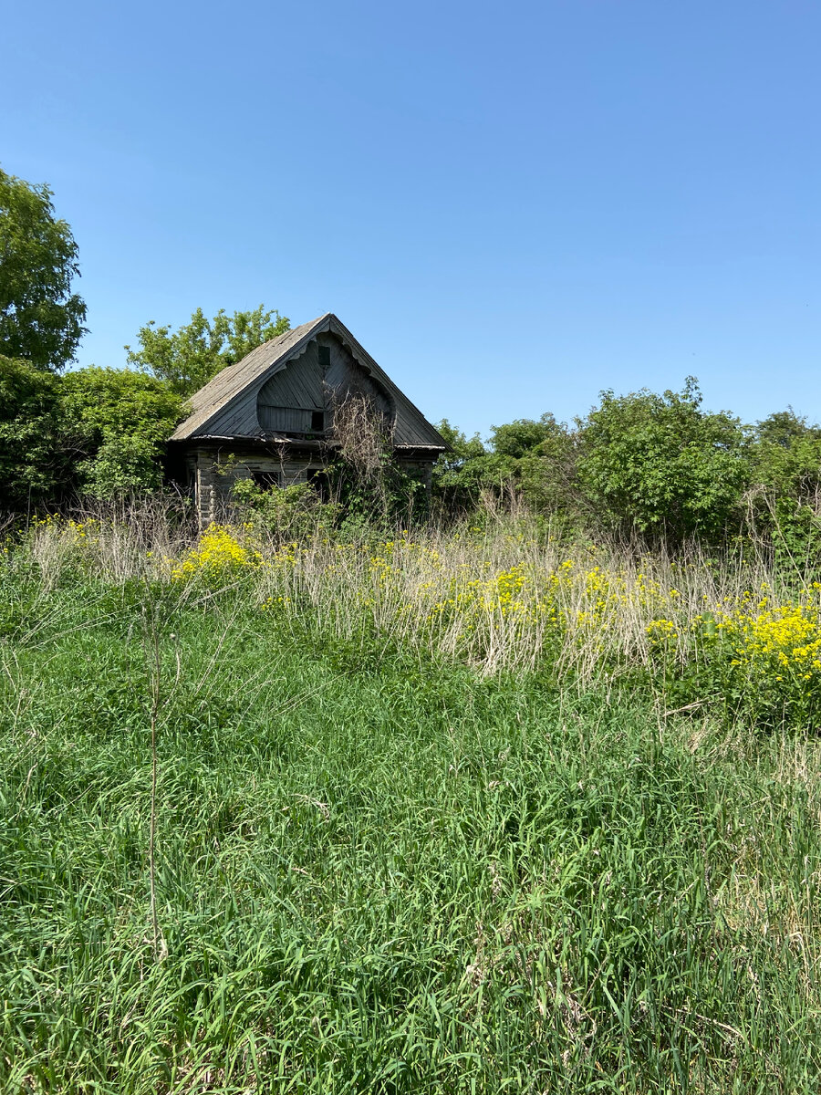 Остатки деревни. 