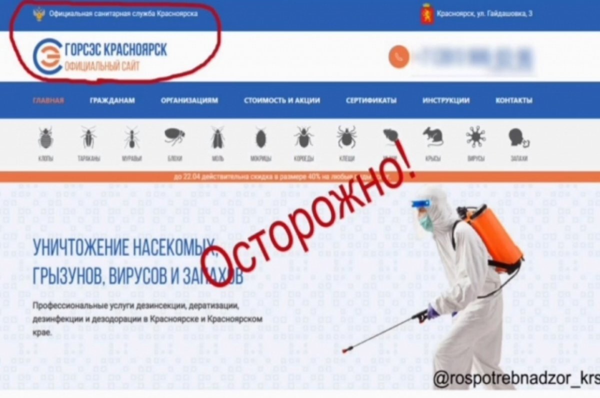    Сайт мошеннической организации.