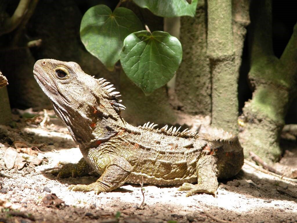 Источник: https://masterok.livejournal.com/3520516.html