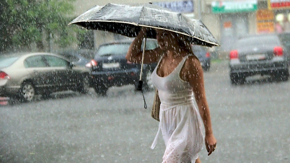 Фото: funart.pro