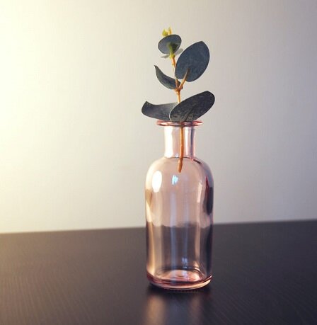 Изображение из открытого источника. Unsplash