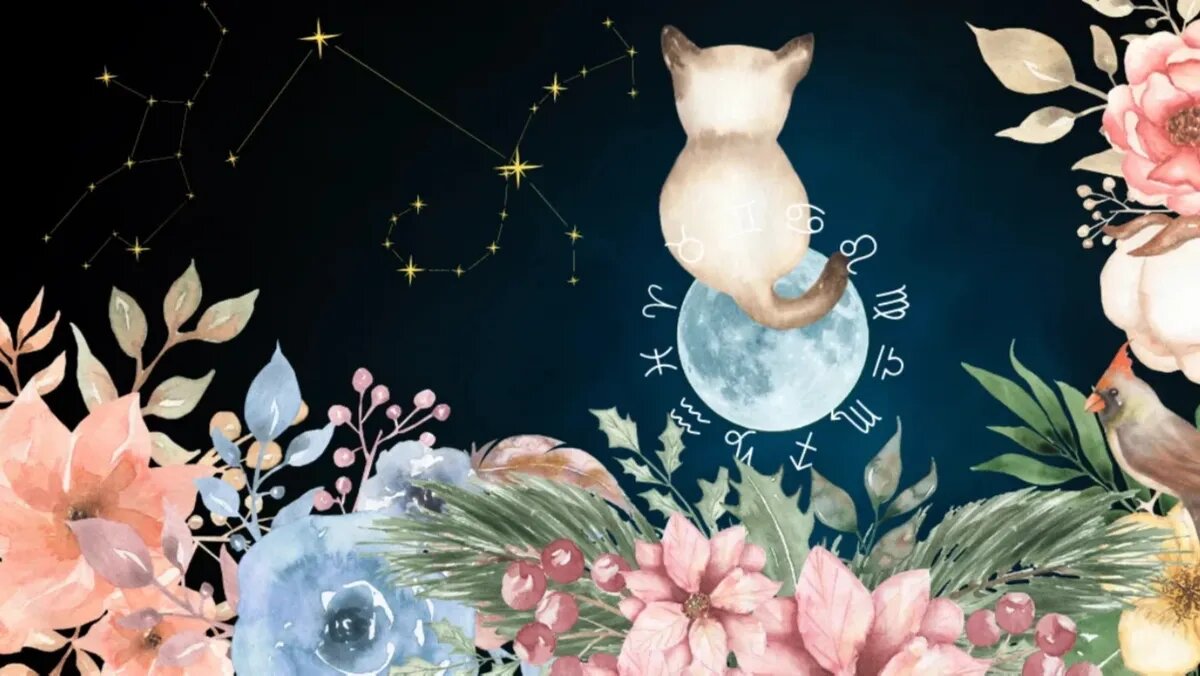 Фото: Йоханна Фур-Джейлан Из Confidence Co., Be Keronyart Из Keryonart Images, MayaNavits Через Canva Pro/Rkarkowski Из Pixabay Через Canva