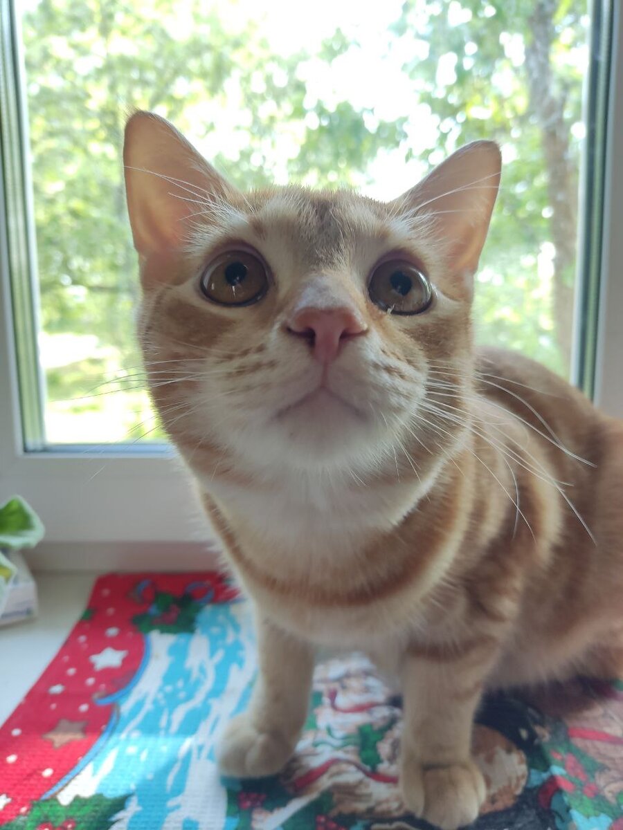 Так, а добавку?