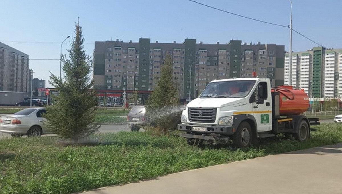 Фото: пресс-служба администрации Барнаула