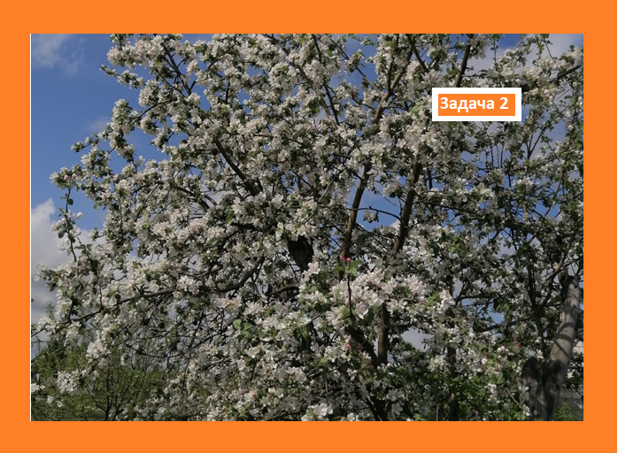 Для тех, кто идёт в 5 класс!