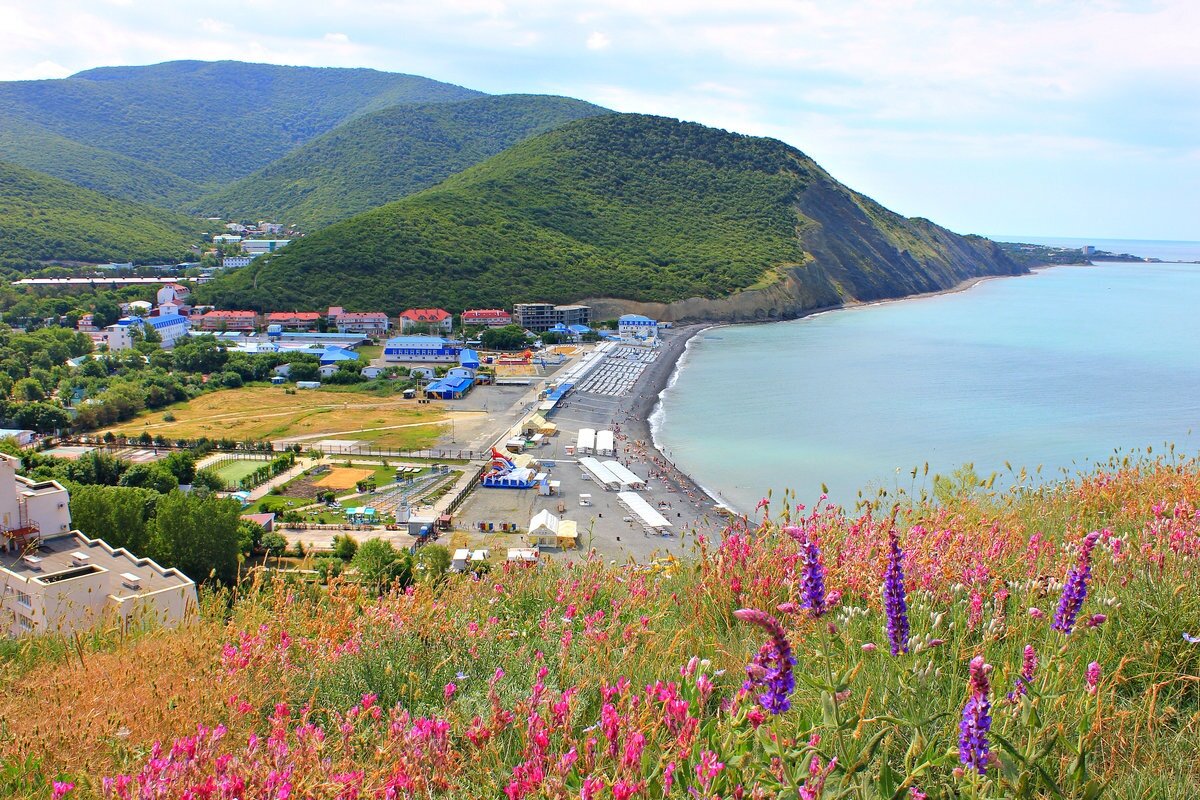 Сукко. Фото с сайта Яндекс.Картинки