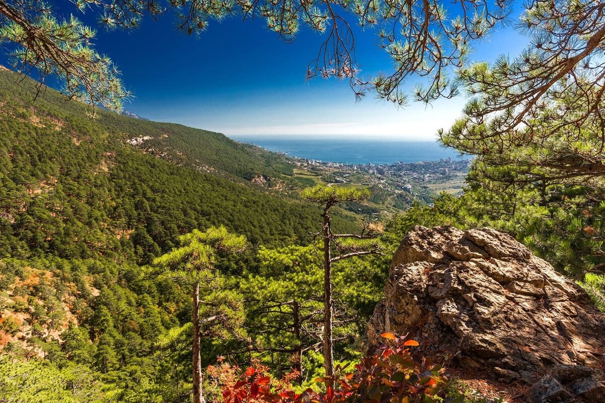 Боткинская тропа в Ялте.