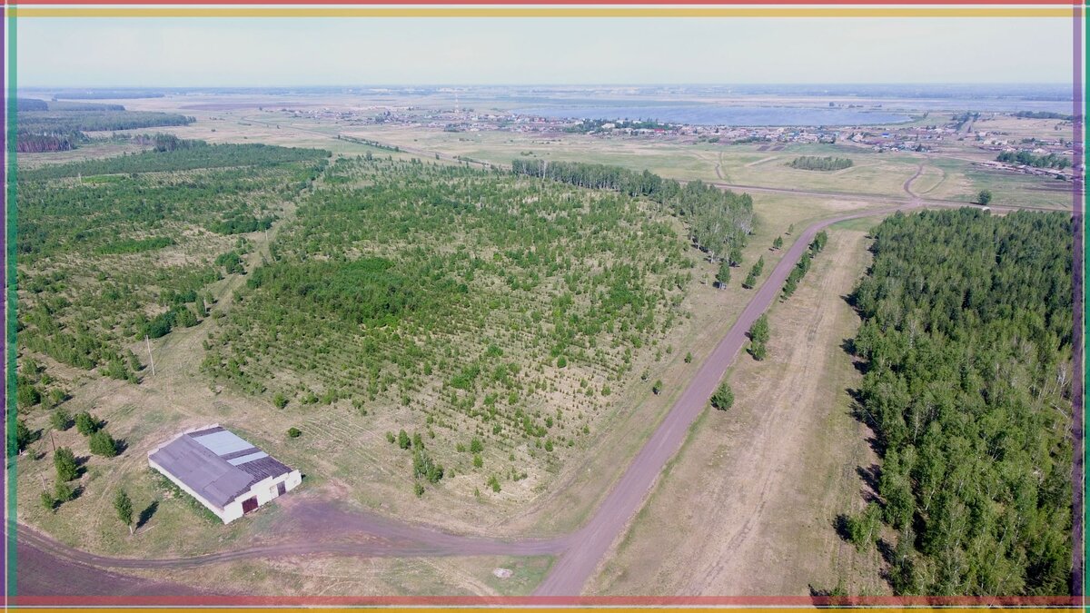 от села Баженово в Саргатском районе Омской области до ближайшего обрабатываемого поля нужно идти через лес по дороге