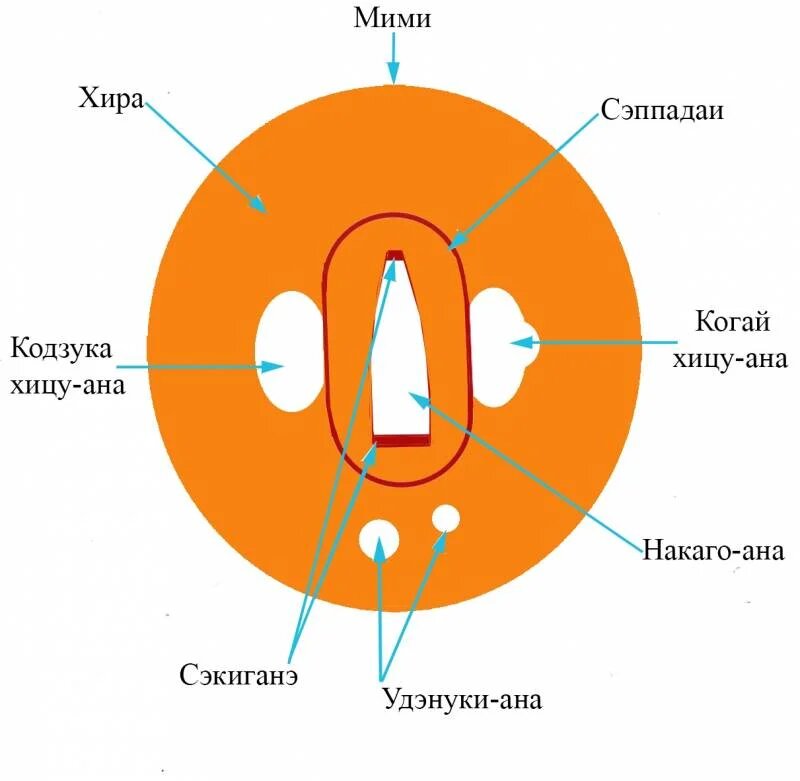 Фото из открытых источников. Схема названий элементов цубы