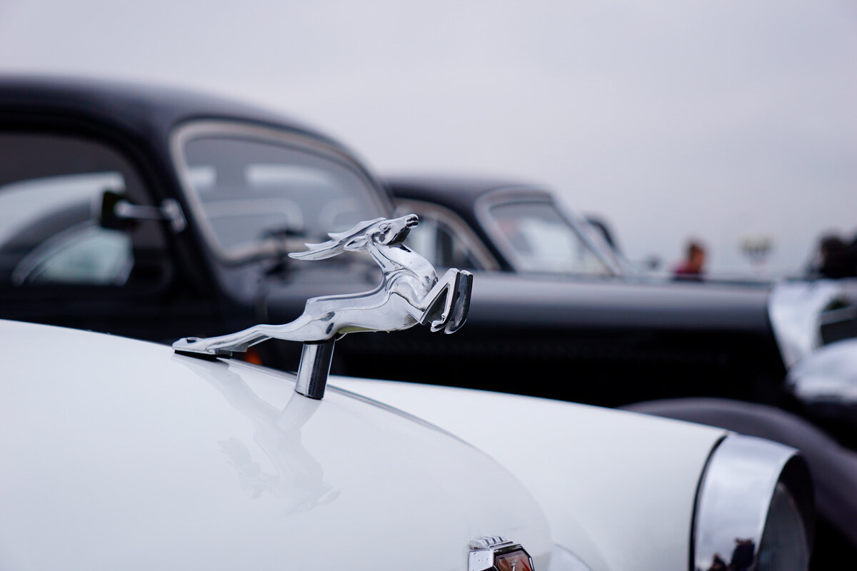    Фото: Olga52 / Shutterstock.com